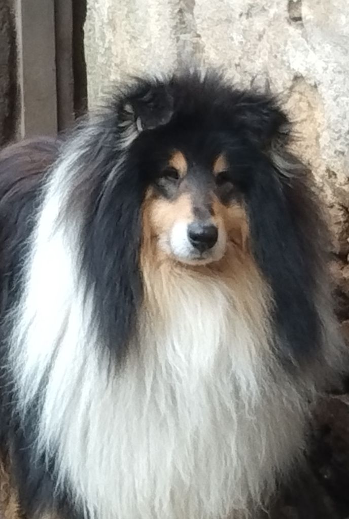 Sidney black De L'Odyssée D'Arcadia