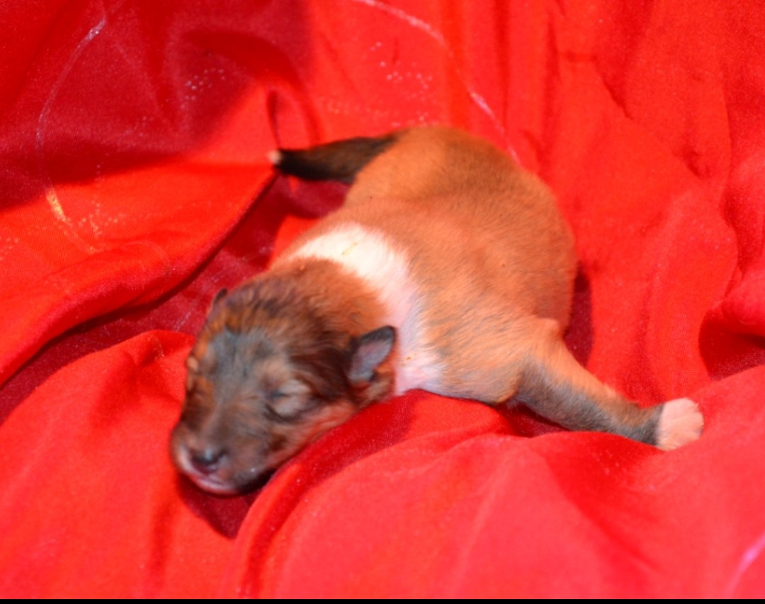 Bébé hope et Scott 21/02/2026